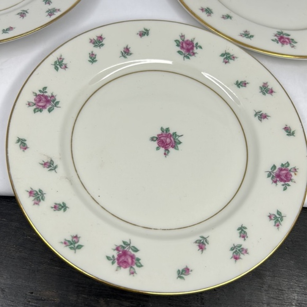 Rambler Rose
by ROYAL JACKSON‎